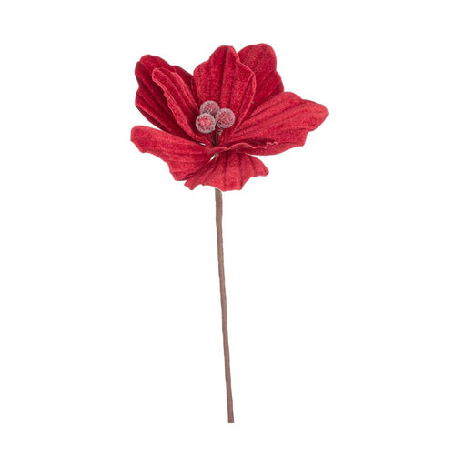 Božićna_zvezda_Ertemios_15x25