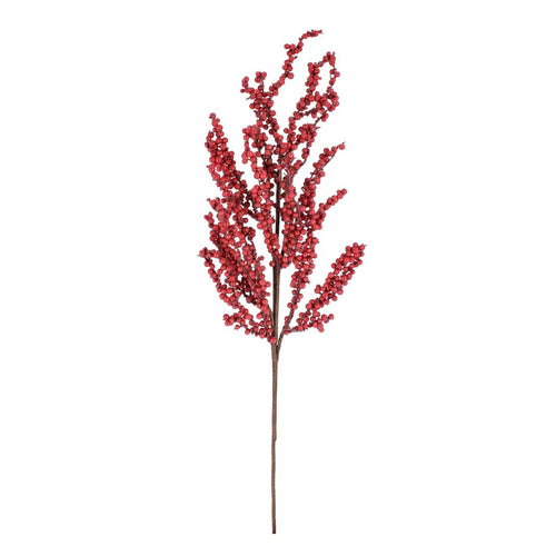 Grana_Hollyn_sa_bobicama_h70