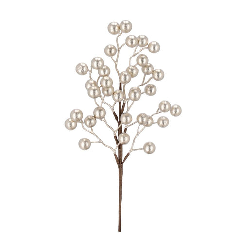 Grana_Myranda_sa_champagne_bobicama_h45