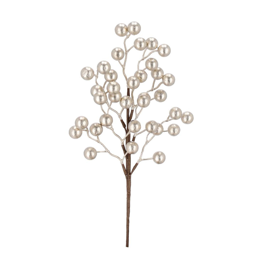 Grana_Myranda_sa_champagne_bobicama_h45