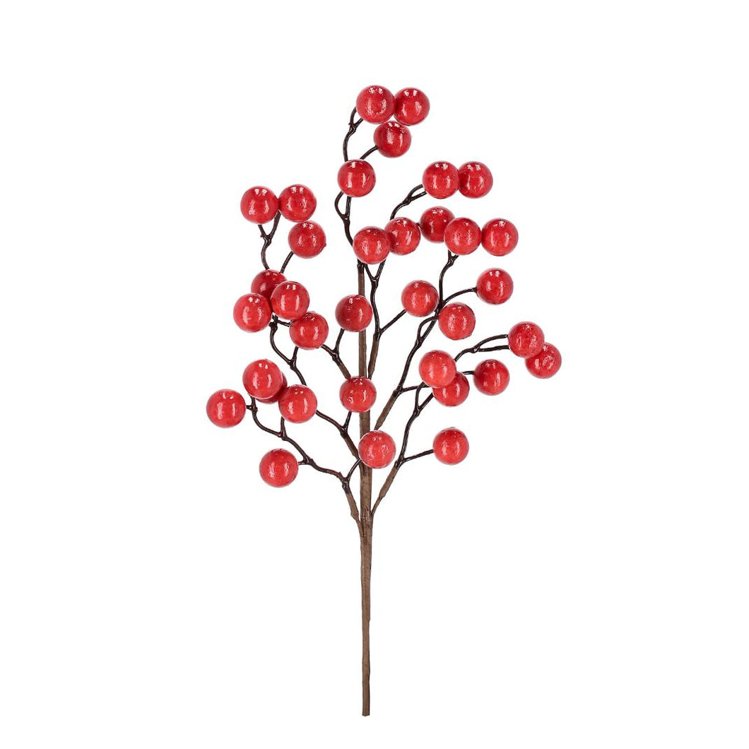 Grana_Myranda_sa_crvenim_bobicama_h45