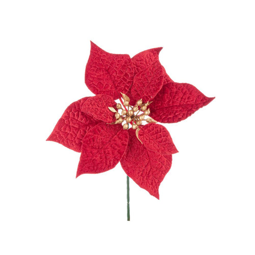 Božićna_zvezda_Janel_h22