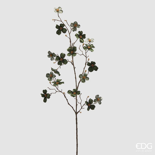 Grana_Cornus_u_zelenoj_boji