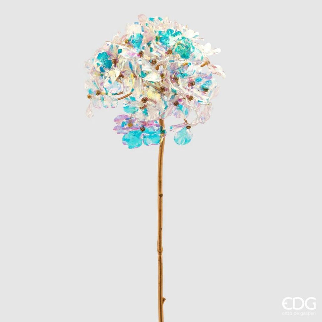 Cvet_Hortenzija_Reflex