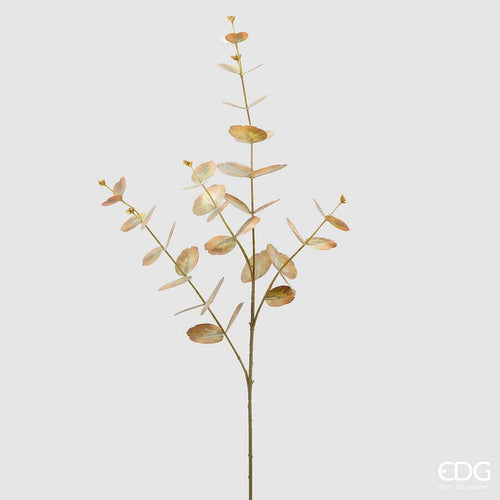 Grana_Eukaliptus_u_zlatnoj_boji