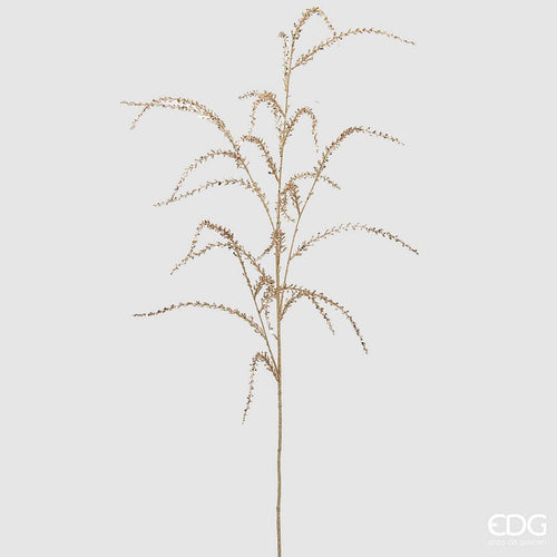 Grana_Amaranthus_glitter_h138