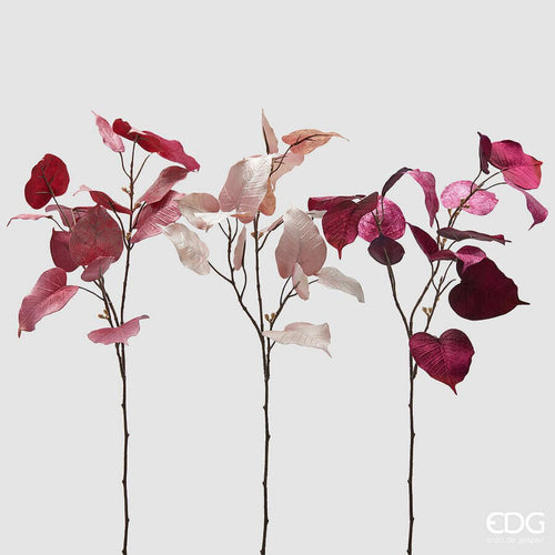 Grana_Ficus_h80_u_roze/bordo_boji