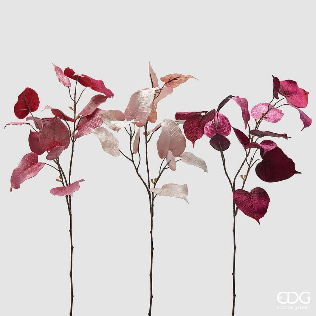 Grana_Ficus_h80_u_roze/bordo_boji