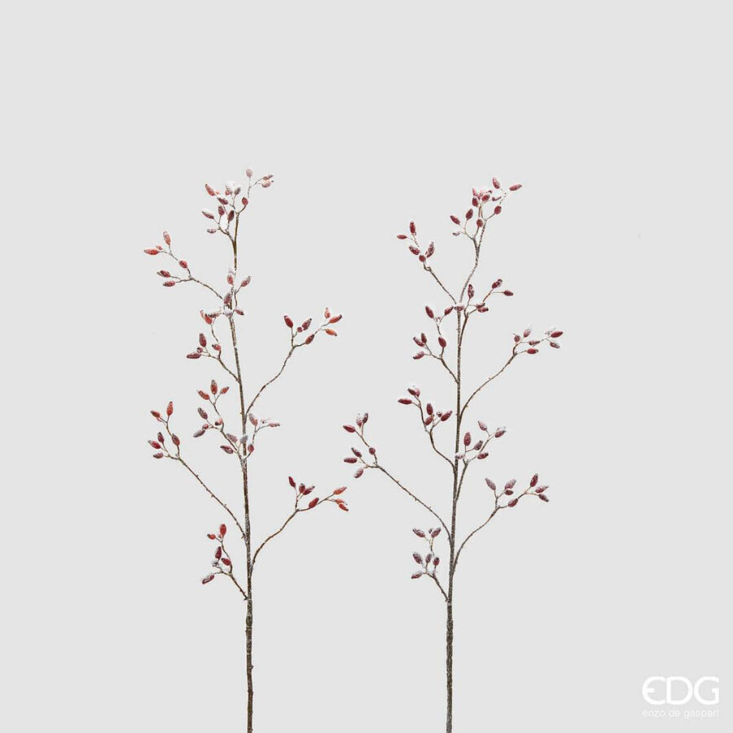 Snežna_ružna_canica