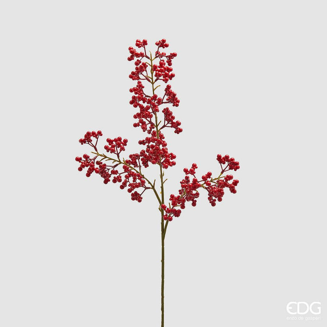 Grana_Ilex_sa_sitnim_bobicama_h90