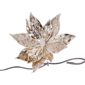 Božićna_zvezda_sjajna_u_champagne_boji