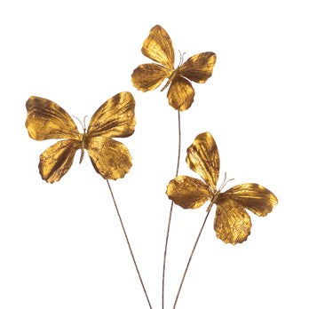 Grana_leptirići_h66