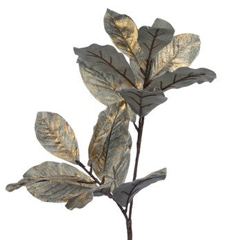 Grana_lišće_magnolije_u_zelenoj_boji