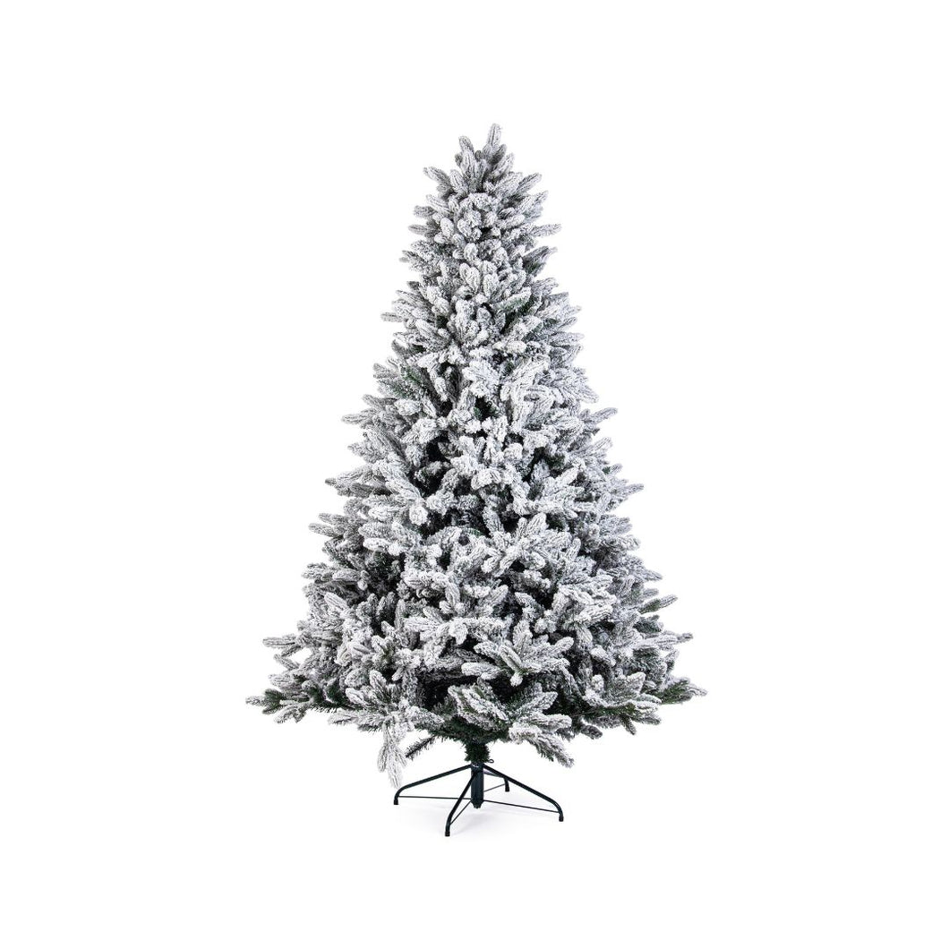 Snežna jelka Frejus 270 cm