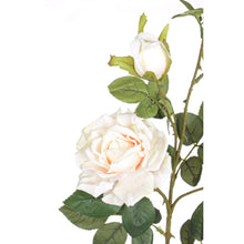 Učitajte sliku u preglednik galerije, Grana ruža u beloj boji
