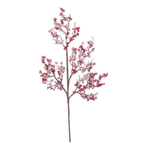 Grana_sa_bobicama_i_ledom_Delia_50cm