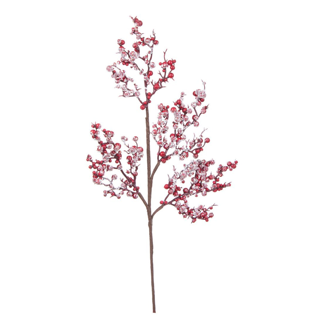 Grana_sa_bobicama_i_ledom_Delia_50cm