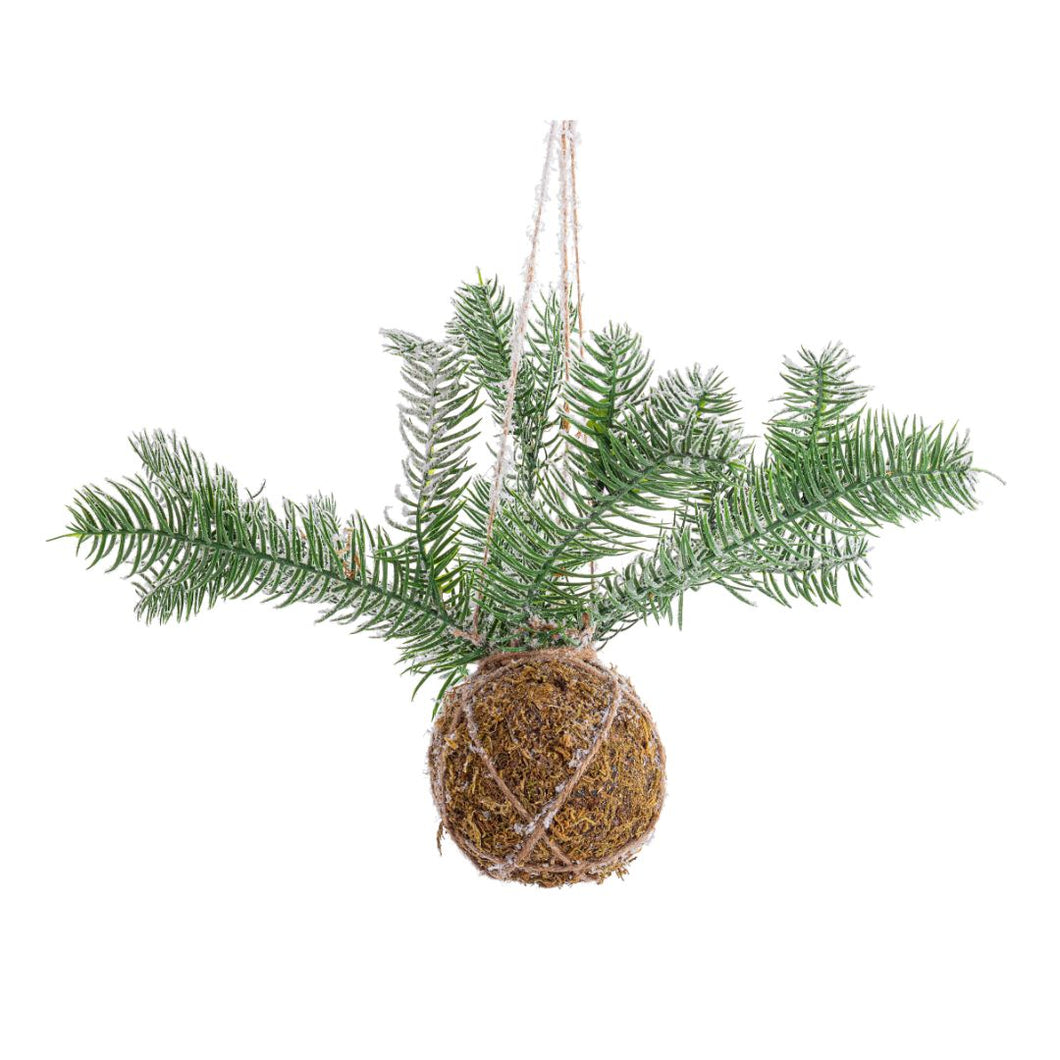 Kokedama_sa_snežnim_granama_D35