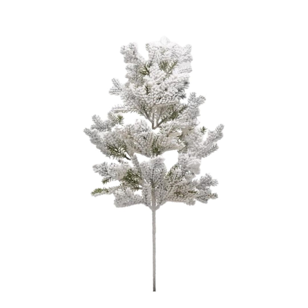 Grana_Superneve_66cm