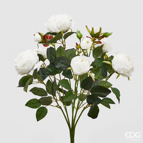 Peonije_u_žbunu_h51_u_beloj_boji